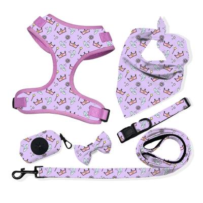 China Custom Padded Harness Dog Pet Sets Colorful And Solid Color Any Picture for sale