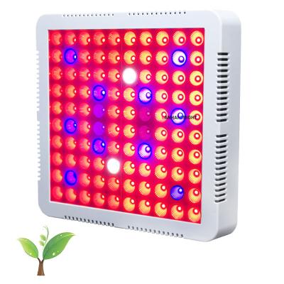 China Seed Start Led Flower Pot Light Garden Lighting 100 300 Watt 100w 200w 300w Red Blue UV IR Lead Horticulture Grow Lights For Indoor Plants for sale