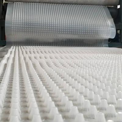 China Stichting HDPE High Density Polyethyleen Drainage Mat voor waterbeheer Te koop