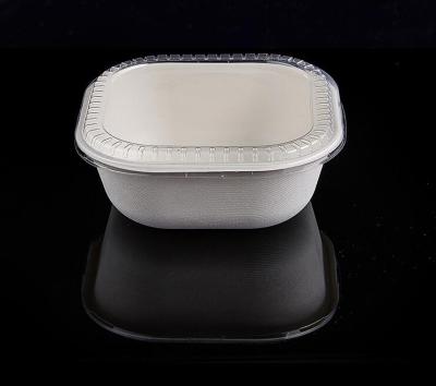 China Disposable Square Custom Pulp Soup Bowl Pulp Bowl Salad Takeout Bamboo Bento Box for sale