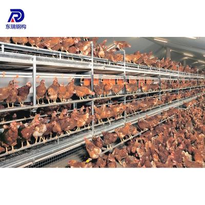 China Steel Structure Poultry Low Cost Prefab Steel Structure Broiler Poultry Farm Control Shed In Pakistan for sale