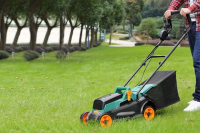 Chine la découpeuse d'herbe de batterie de 40V LI-ION/32cm rechargent la tondeuse à gazon électrique à vendre