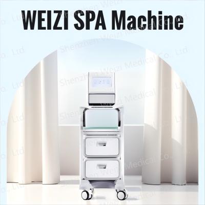China Alkaline Water Hydrogen SPA Machine With Negative Ion Technology Acne Relief for sale