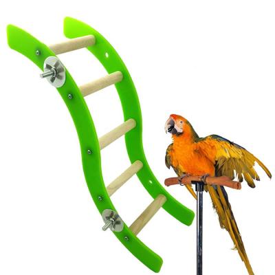 China Viable Birds Toy Chew Bite Parrot and Crawling ToysParrot Small Hamster Wave Animal Acrylic Ladder Rack Crawling Ladders Cage Play Fun Toy - for sale