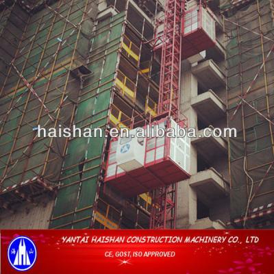 China 1ton material and construction worker mini lift crane 2*1000kg for sale