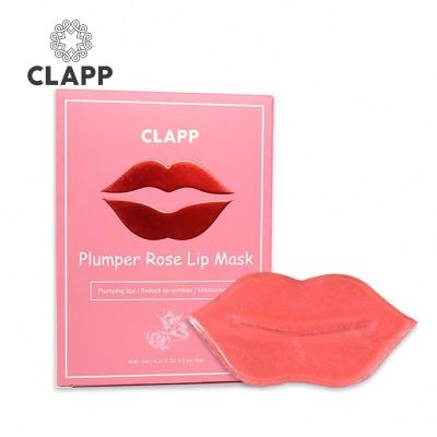 China Moisturizer Propolis Lip Mask and Gloss Pack Green Lip Mask Sheets and Cute Lips Set Dropping Masks for sale