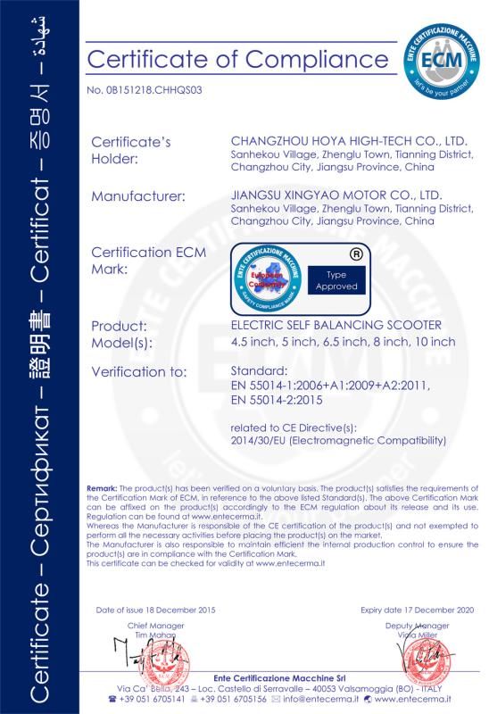 CE certificate - Jiangsu Xingyao Motor Co.Ltd