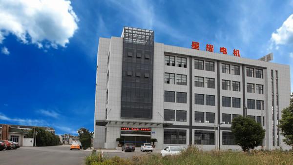 Fornitore cinese verificato - Jiangsu Xingyao Motor Co.Ltd