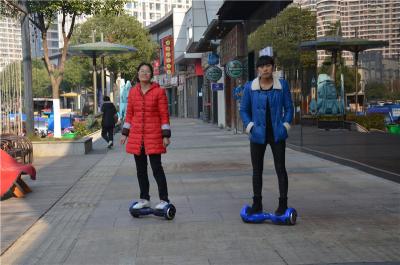 China 6.5 Inch 2 Wheel Self Balancing Electric Vehicle For Adult Amusement for sale