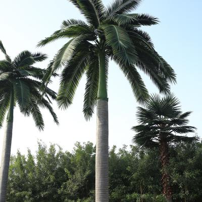 China High Imitation Plants King Palm Artificial Royal Palm Trees Giant Artificial Palm Tree for sale