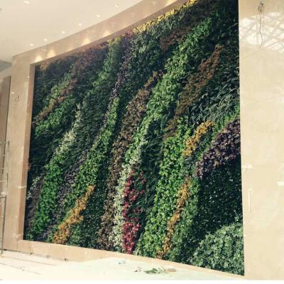 China Plastic Custom Vertical Wall Plants Plastic Artificial Green Grass for sale