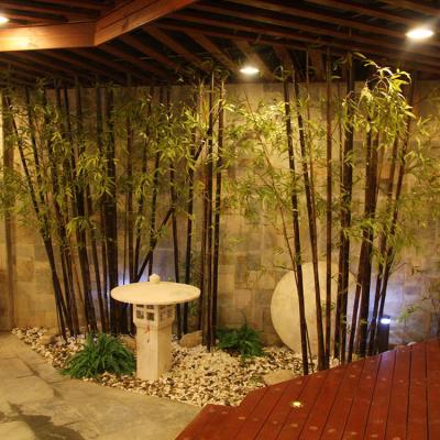 China Hospital Library Station Plastic Decoration Indoor Artificial Bamboo Trees Rig Artificial Bamboo Plants For Sale for sale