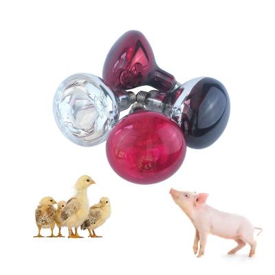 China Animal Husbandry: CE ROHS ETL BULB CHICKS NAVIGATION Color Infrared Light China Manufacturer Red Light Infrared Heating Lamp Certificate for Pigs and Chicks for sale