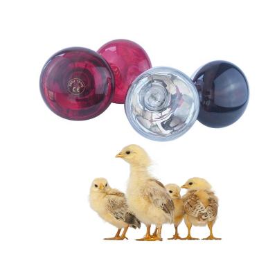 China Animal Husbandry: 110V 220V Chick Farm Equipment Infrared Light Bulb Incubator Lamp Young Bird Rearing Lamp Heating Lamp for Poultry for sale