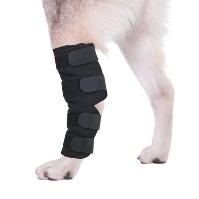 China Wear Resistant Dog Hind Leg Hock Joint Compression Wrap Canine (Hind) Ankle Brace Extra Support With Knee Support for sale