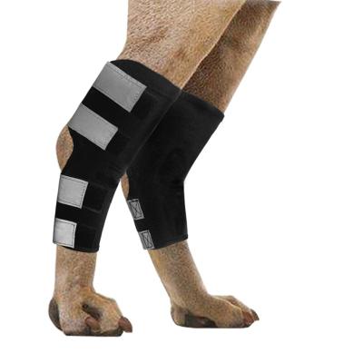 China Dog and Cat Front Leg Braces Carpal Wear Resistant Support with Safety Reflective Straps for Front Hock Joint for sale