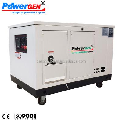 China Clean energy ! ! ! POWERGEN NG Gas/LPG Liquid Propane Silent Natural Water Cooled 15KW BNL15SE Generator for sale