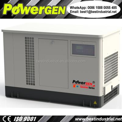 China DB 65! ! ! POWERGEN Three Phase Soundproof Water Cooled Engine Grade Lifan Automobile Gasoline Super Silent Generator 30KW BG30SE-3 for sale