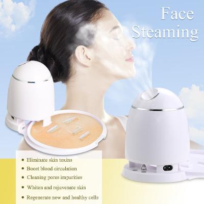 China DIY Fruit Face Lift Bimix Private Label Spa Mask Maker Facial Machine Wholesale Professional Nano Ionic Facial Steamer for sale