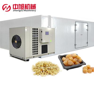 China Medicine Processing Festoon Dryer Commercial Dehydrator Aquatic Products Fish Dryer Industrial Air Energy Heat Pump Food Dryer Drying Room for sale