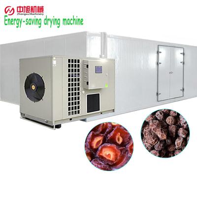 China Medicine processing Zhongxu machinery heat pump dryer preserved plum drying equipment hehydrating machine for sale