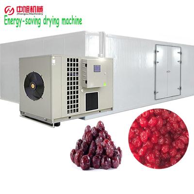 China Chemicals Processing Zhongxu High-Efficient Heat Pump Cherry Lychee Vegetable Dryer and Fruit Dryer Drying Room for sale