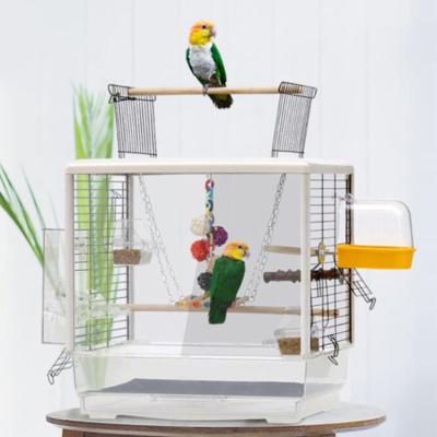 China New Design Perspex Birdcage Wall Mounted Acrylic Ornamental Parrot Cage Canary Yellow Display Cage for sale