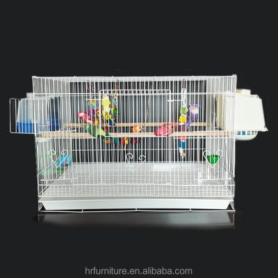 China Sustainable Factory Wholesale Pet Parrot Cage Set Complete Bird Supplies Iron Medium Cage For Bird for sale