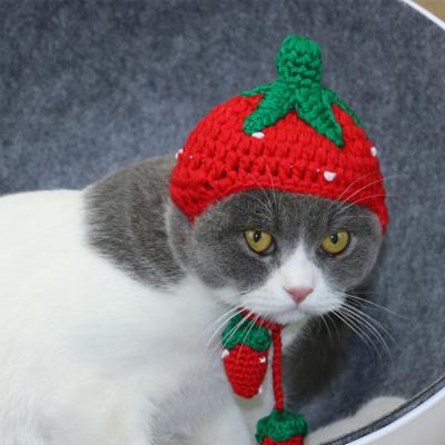 China Sustainable Tomato Shape Pet Decoration Funny Winter Warm Knit Cat Hat Decoration Animal Pet for sale