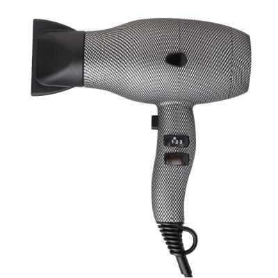 China Mini Blow Dryer Professional Salon Hair Dryer Maker Room Ionic Hair Dryer for sale