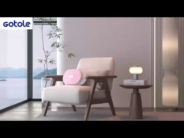 Electric Waist Massager with Timer for Muscle Relaxation
