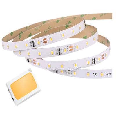 China High Quality Hot Product 60leds/m DC12V 24V Hotel LED Strip SMD2835 Constant Current Flexible Strip for sale