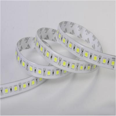 China Hotel 5 meter 12v 24v smd 5050 color motions 60led 60leds/m waterproof strip lights cool white led strips for sale