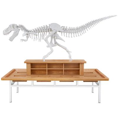 China PVC Multi Players Dinosaur Table Archaeological Toy, Wooden Dinosaur Fossil Archaeological Table, Archaeological Chiseled Stone Table for sale