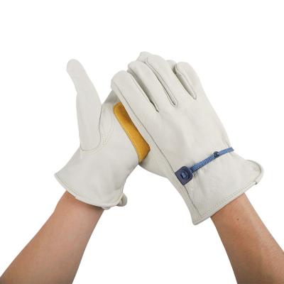 China Good qualityCut ​​Workshop Level 5 HPPE Coating Heavy Duty Protection Industrial Works Safety Mechanic Gloves for sale