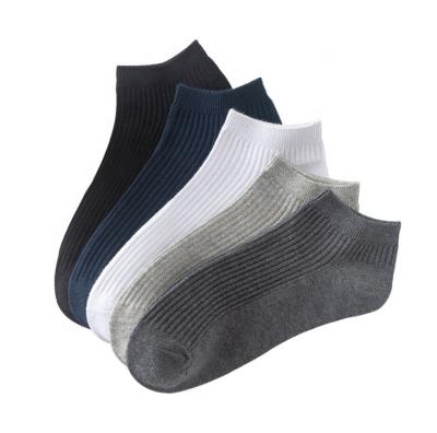 China Sustainable Sport Hogs Breathable Mens Cotton Ankle Socks Black Custom for sale