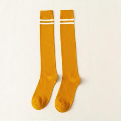 China Spring And Autumn Two Bar Ladies Female Fashion Cotton Sporty Cute Socks for sale