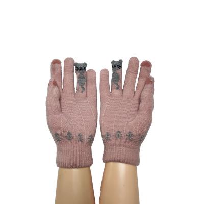 China Good Quality Touch Screen Doubled Palm Cat Cartoon Fashion Winter Hands Acrylic Knitted Magic Gloves for sale