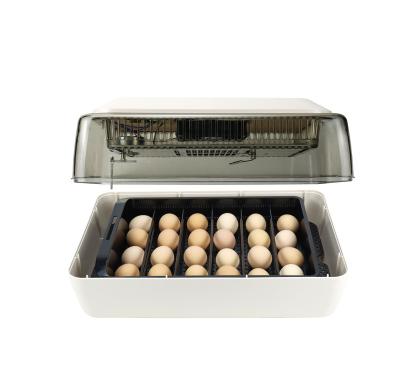 China Latest Professional Hot Selling Egg Incubator Excellent Quality ABS 24 White Egg Incubators for sale