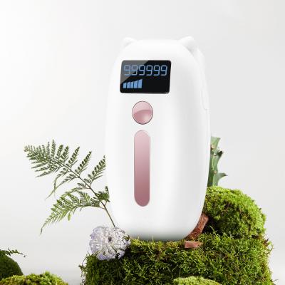 China New 2021 Household Anti-Puffiness Laser Hair Removal Machine IPL Permanent Painless Hair Removal Device for sale