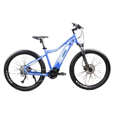 China Aluminum Alloy Mountain Electric Bicycle With Crank Motor High Torque Power 48V 500-1000W for sale