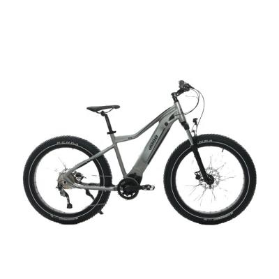 China 48V 500W Mid Drive Standard Motor Full Suspension Electric Mountain Bike for sale