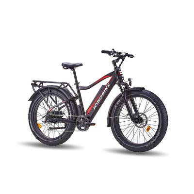 China Hot Selling 48V 250W 14Ah Aluminum Alloy Tire Electric Bike E-Bike Fat Fat Bike with Fast Shipping for sale