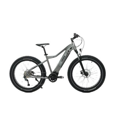 China Wholesale luxury hot mountain e-bike electric bicycle for sale