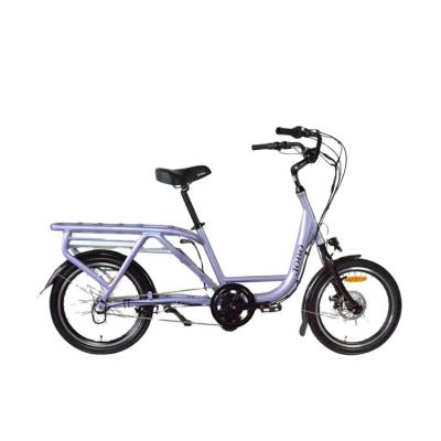 China Aluminum Alloy TDN03Z 20 Inch Electric Bike Cargo Electric Bikes for sale