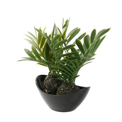 China Modern Home Decoration Customized Plants Potted 30cm High Plant Monochrome Artificial Plastic Bonsai Trees for sale