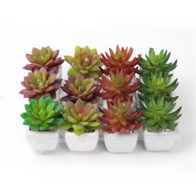 China Artificial Succulent Plants Mini Succulent Plants Modern Home Succulent Ceramic Pots Decor Cactus Plant for sale