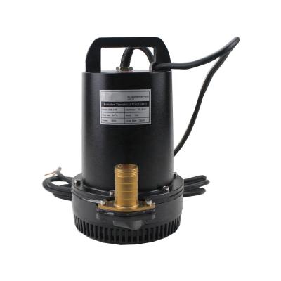 China Small 12V 24V Water Treatment Copper Wire Solutions DC Submersible Water Pump for sale