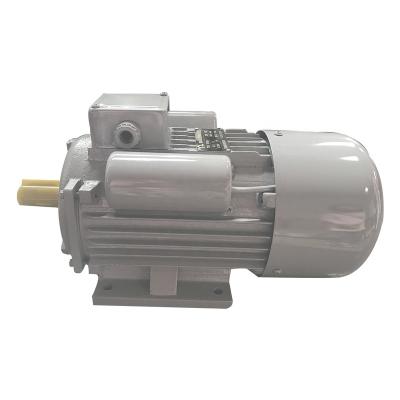 China Hot Selling YC100L-4 Waterproof B35 Single Phase Asynchronous Install Method Electric Motor for sale