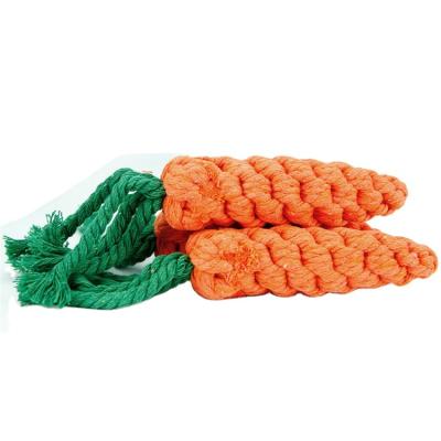 China Toy Cotton Carrots Chew Teeth Braided Rope Cleaning Small Animals Dog Rope Teeth Bite Tough Knots Chewing Dog Toy for sale